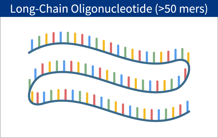 Lon-Chain Oligonucleotide (>50 mers)
