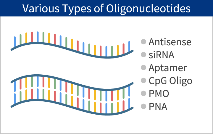 Various Types of Oligonucleotide
