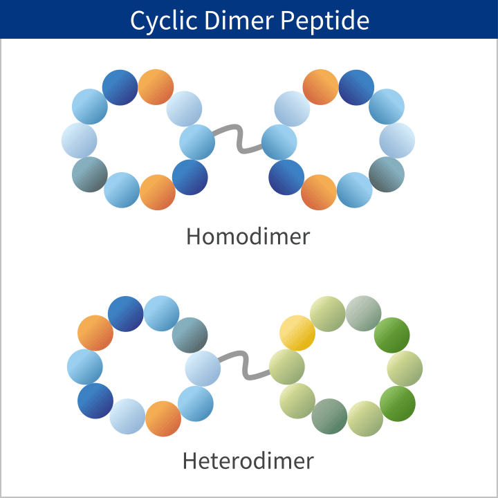 Cyclic Dimer Peptide