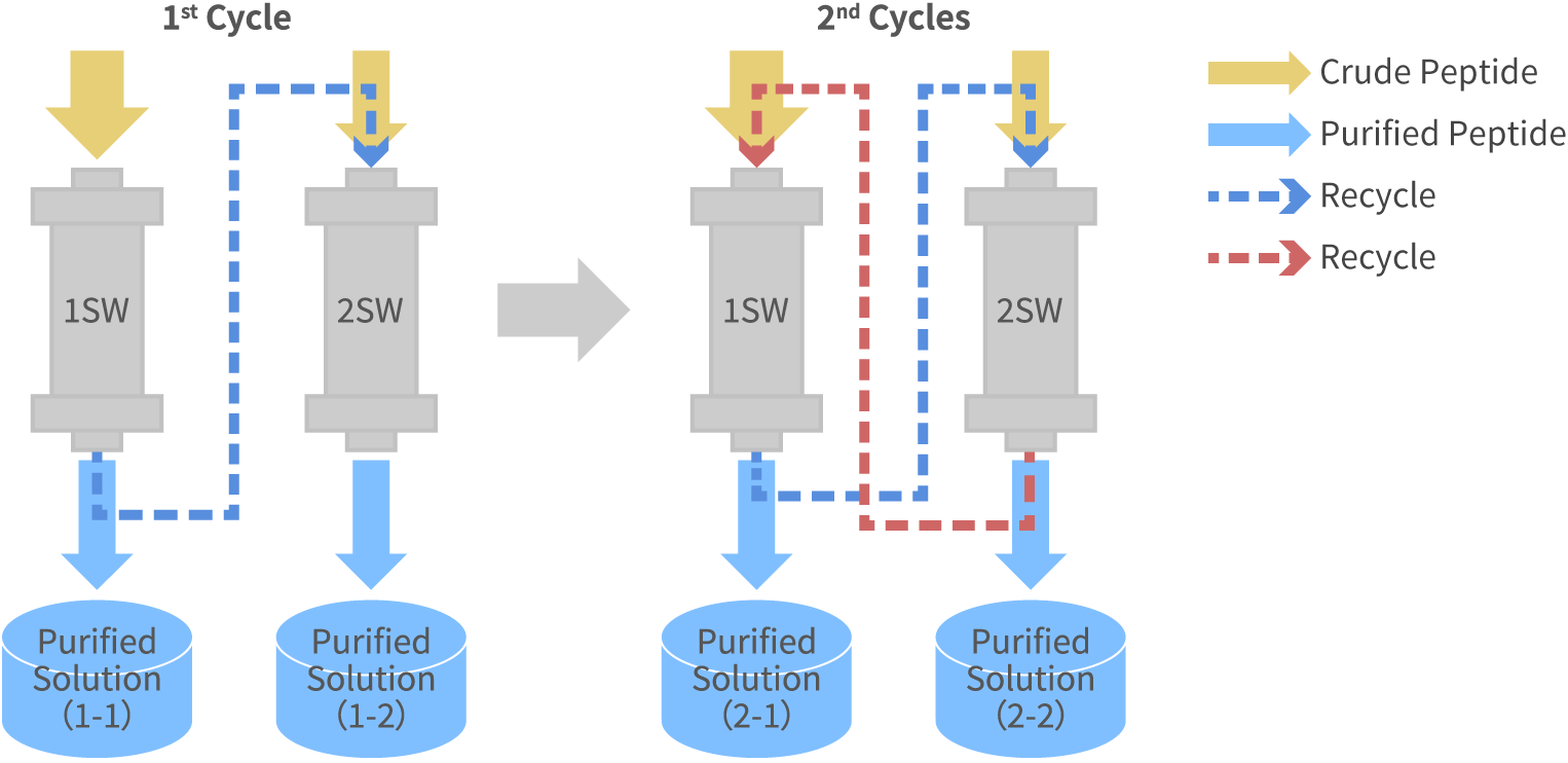 Concept of Continuous Chromatography Purification Method